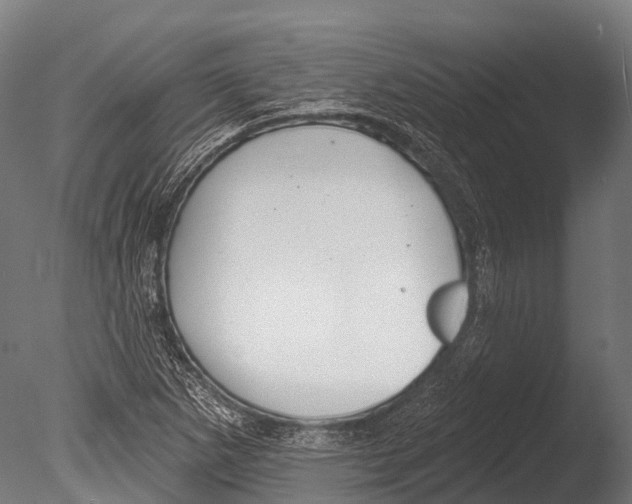 X0000085001265200704021324