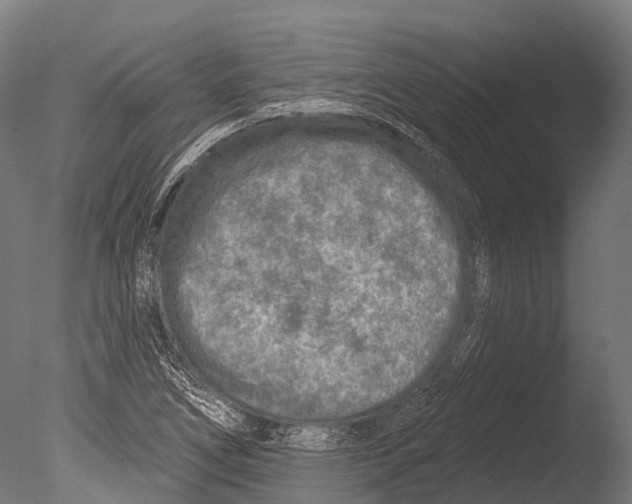 X0000085001266200704021324