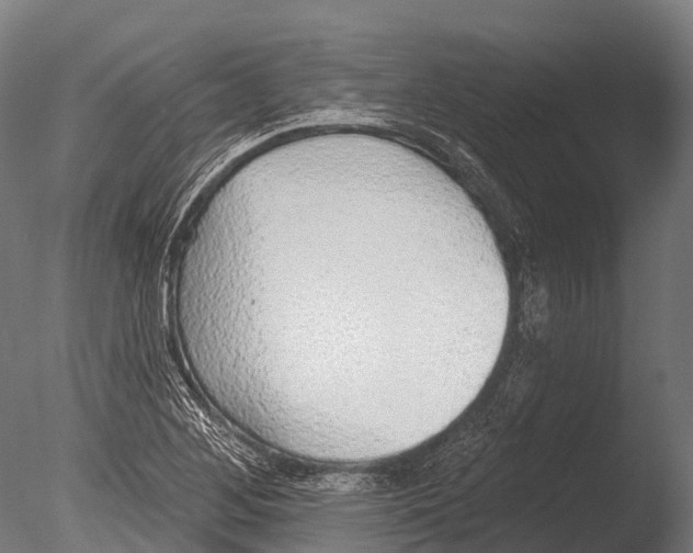 X0000085001268200704021324