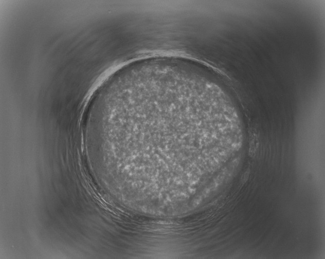 X0000085001271200704021324