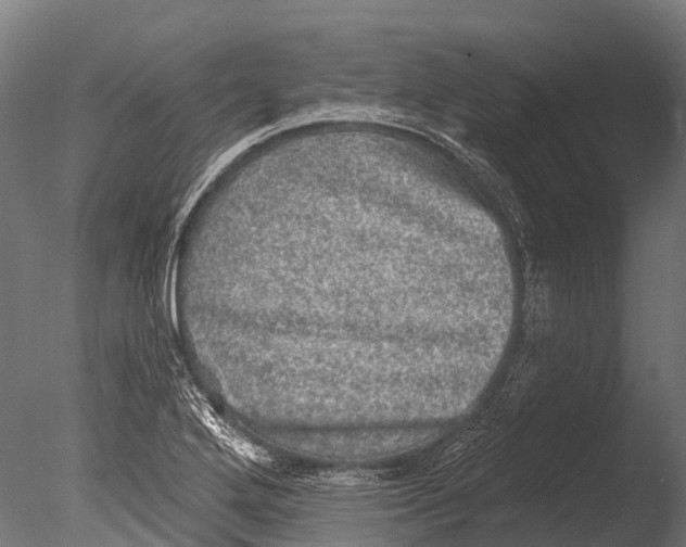 X0000085001272200704021324