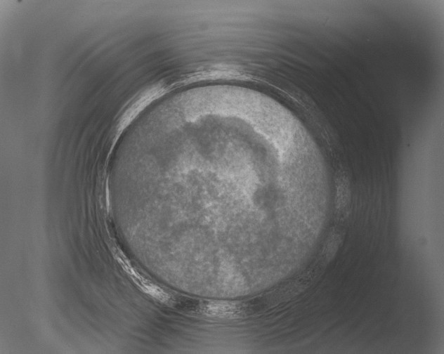 X0000085001274200704021324