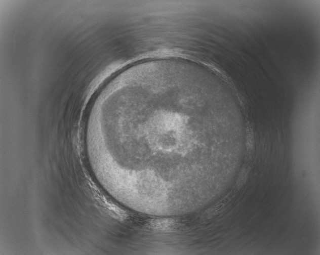 X0000085001278200704021324