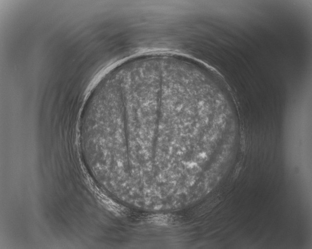 X0000085001279200704021324