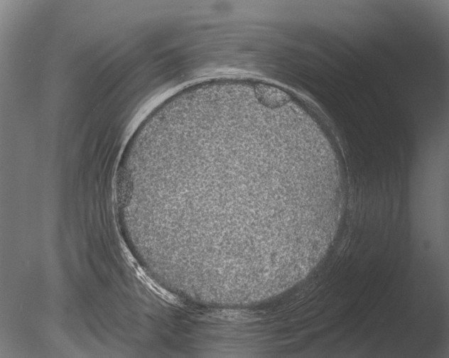 X0000085001287200704021324