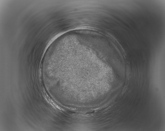 X0000085001292200704021324