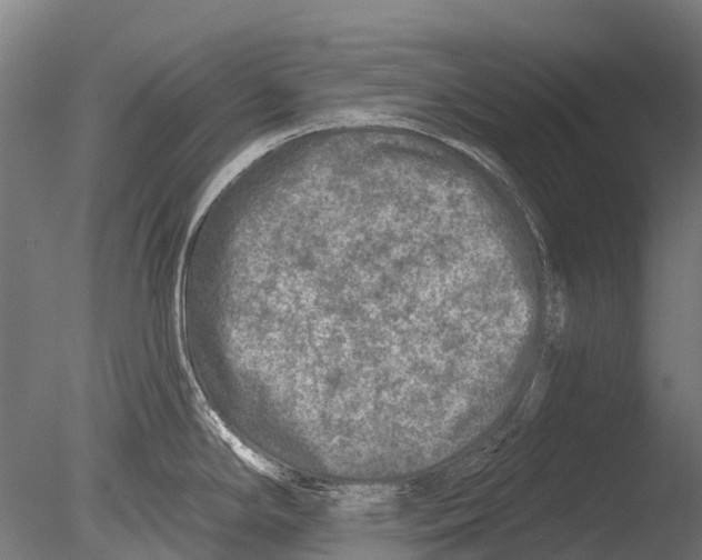 X0000085001294200704021324