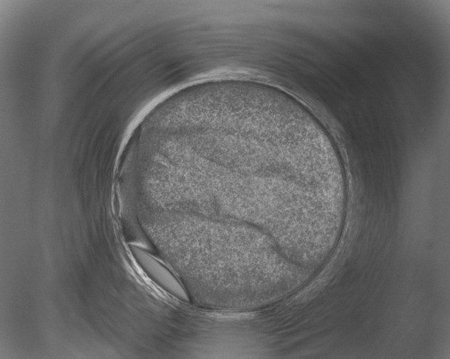 X0000085001296200704021324