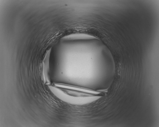 X0000085001298200704021323