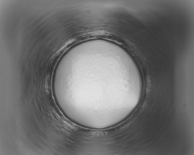 X0000085001305200704021323