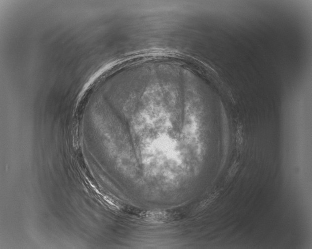 X0000085001310200704021323