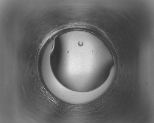 X0000085001312200704021323