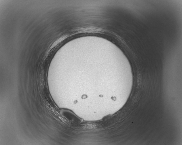 X0000085001315200704021323