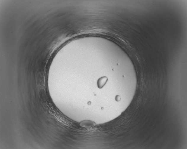 X0000085001316200704021323