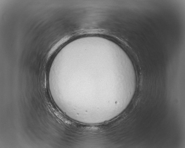 X0000085001317200704021323