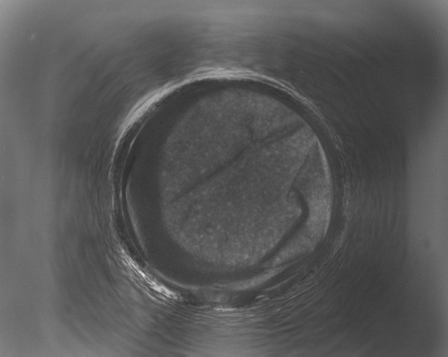 X0000085001319200704021323