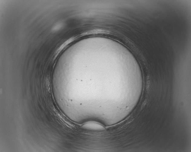 X0000085001321200704021323