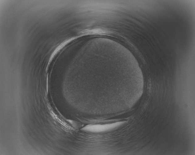 X0000085001323200704021323