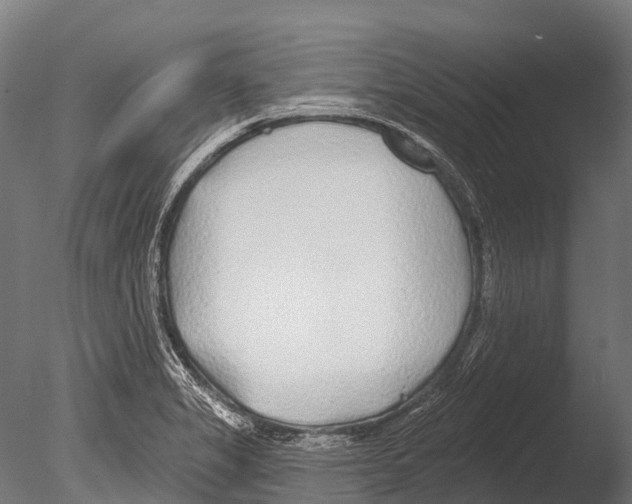 X0000085001325200704021323