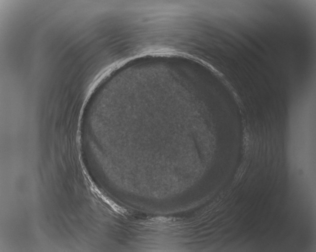 X0000085001327200704021323