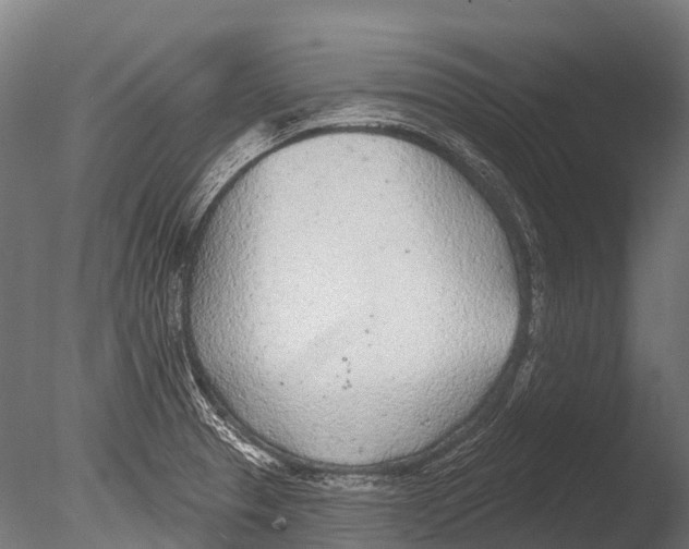 X0000085001329200704021323