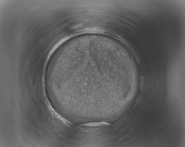 X0000085001331200704021323