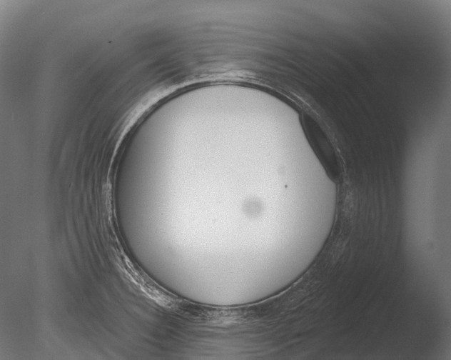 X0000085001332200704021323