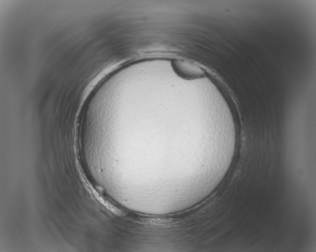 X0000085001333200704021323