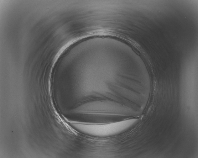 X0000085001334200704021323