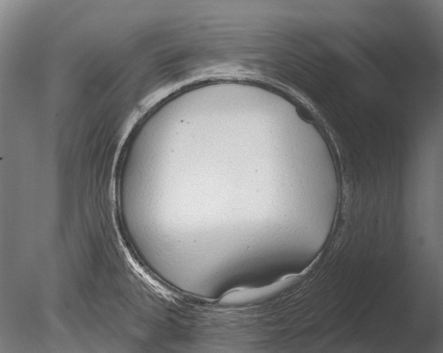 X0000085001335200704021323