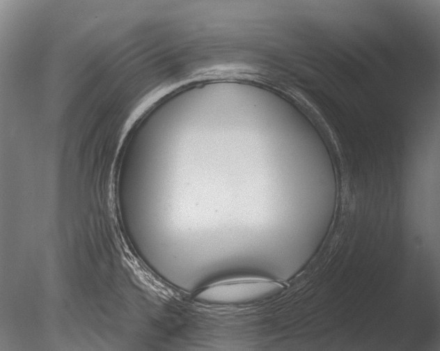 X0000085001336200704021323