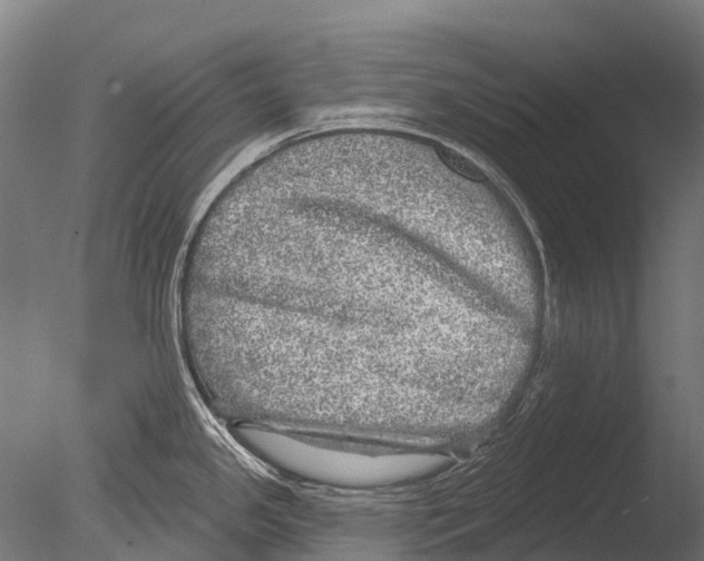 X0000085001341200704021323