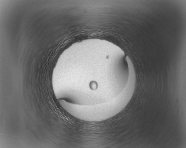 X0000085001345200704021323