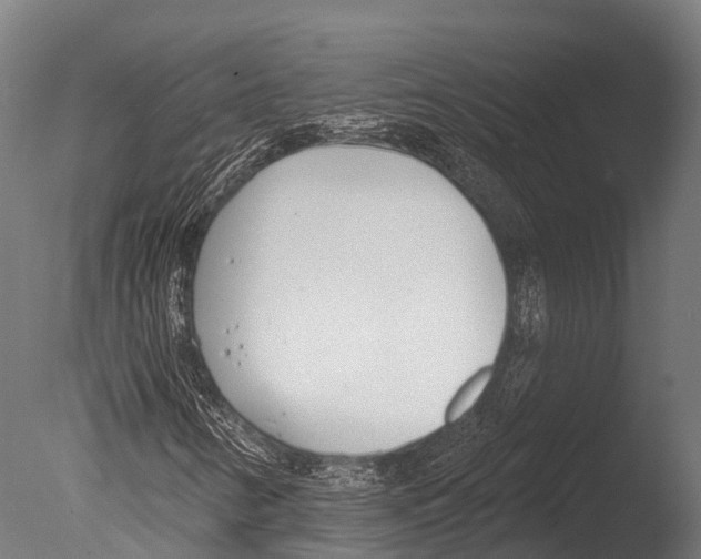 X0000085001346200704021323