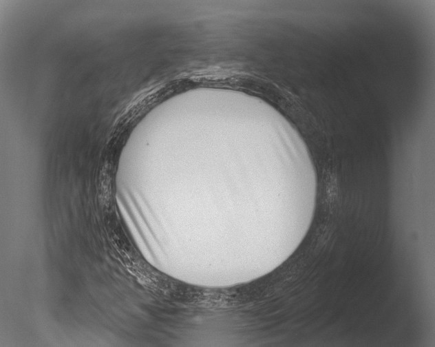 X0000085001350200704021323