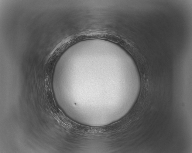 X0000085001351200704021323