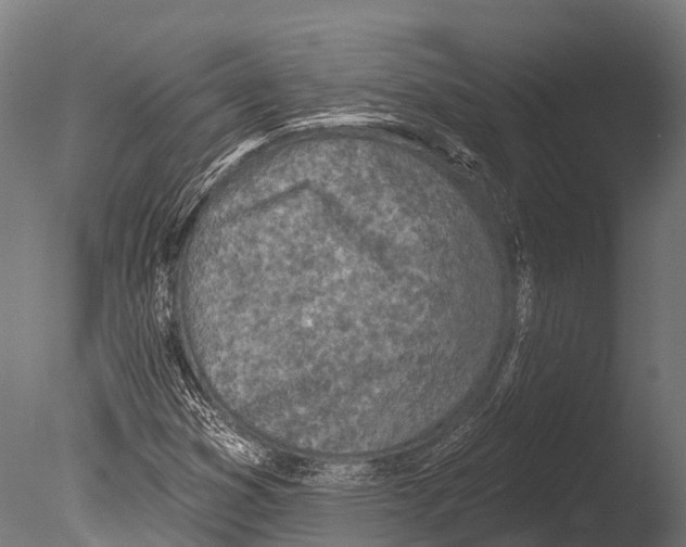 X0000085001353200704021323