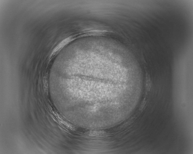 X0000085001354200704021323