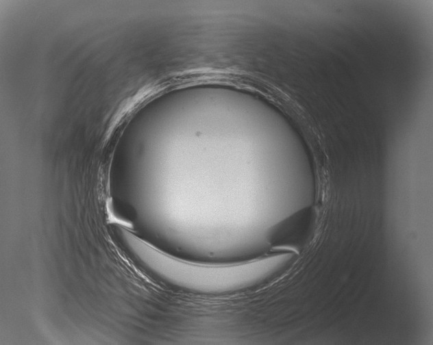 X0000085001357200704021322