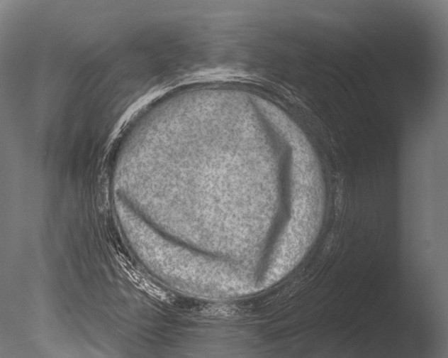 X0000085001358200704021322