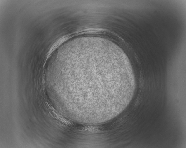 X0000085001362200704021322