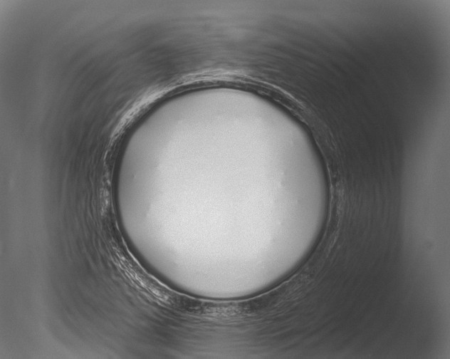 X0000085001363200704021322