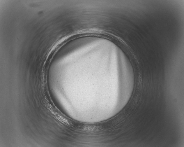 X0000085001364200704021322