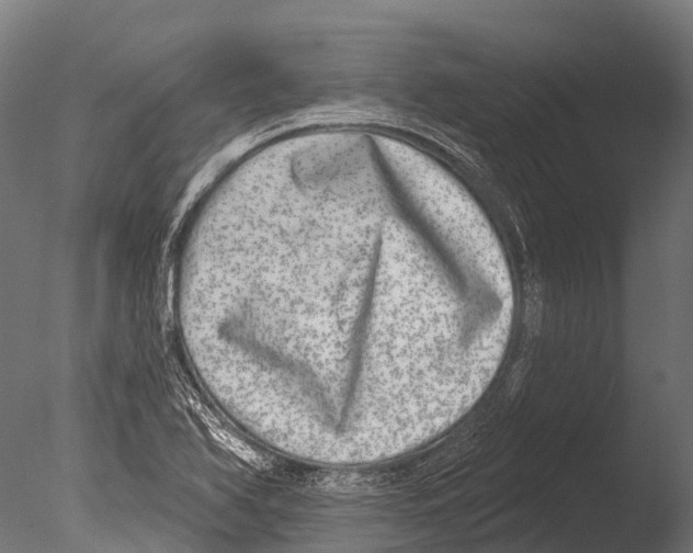 X0000085001366200704021322