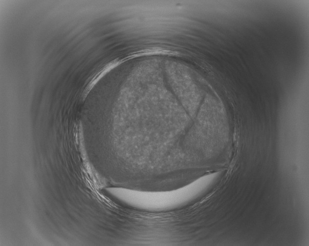 X0000085001369200704021322