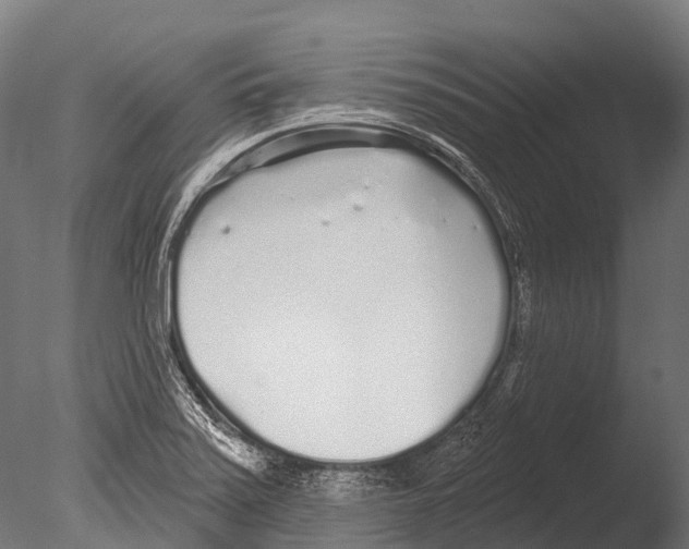 X0000085001371200704021322