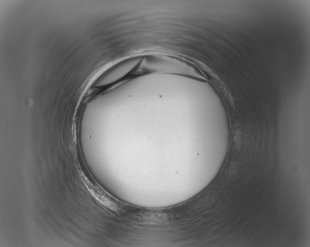 X0000085001372200704021322