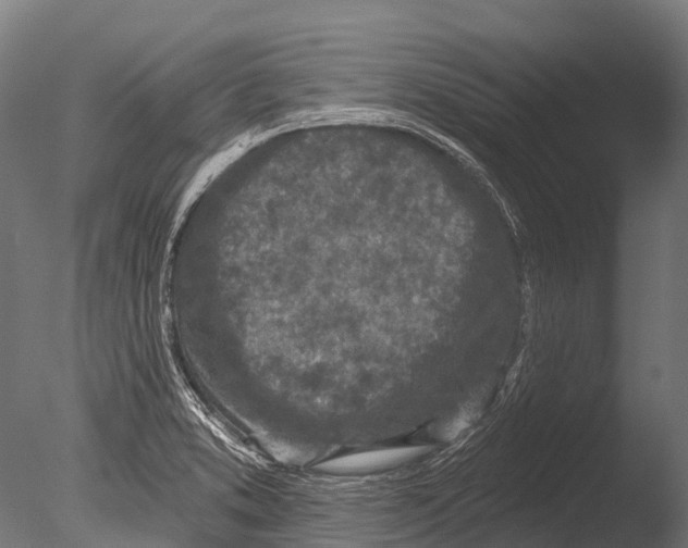 X0000085001373200704021322