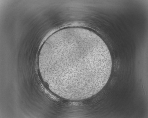 X0000085001374200704021322