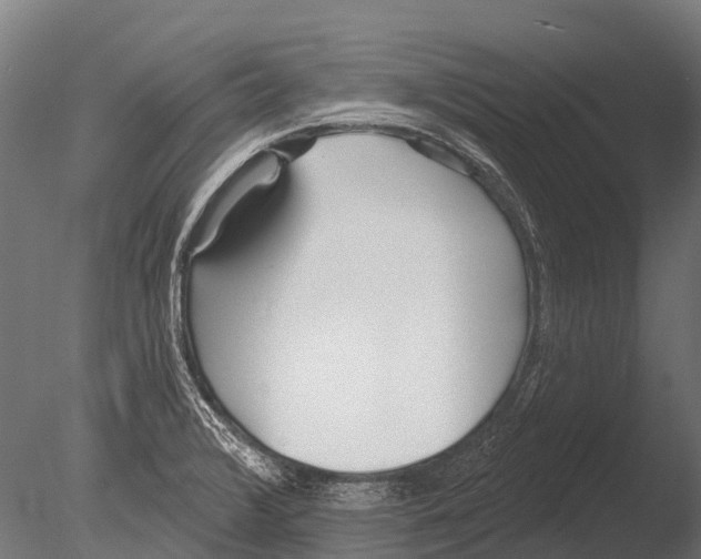 X0000085001376200704021322